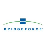 BridgeForce Logo [Image by creator  from ]